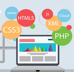  How to create effective web portal.