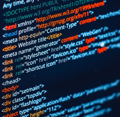 Impeccable service is the key for survival for the web development companies. 